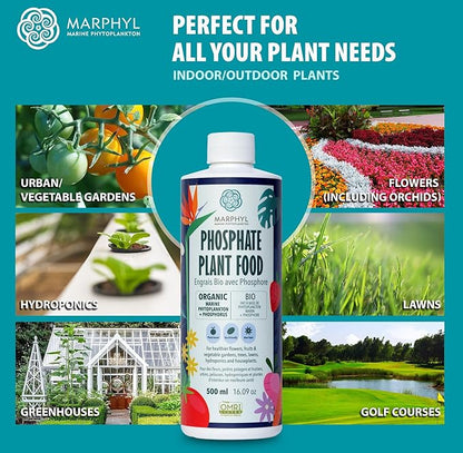 MARPHYL Organic Liquid Phosphate Soil Enhancer. Phosphorus Fertilizer for Garden, Flowers, Vegetables, Succulents, Bamboo, Hydroponics 1.05 gal