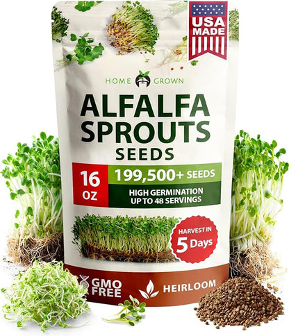 HOME GROWN Non GMO Alfalfa Sprout Seeds 16oz Bulk Pack with Thousands of Seeds Alfalfa for Sprouting & Microgreens Indoor Outdoor Growing Resealable Bag High Germination