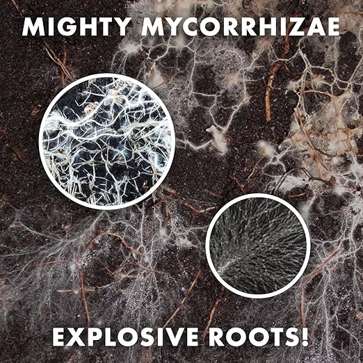 Mycorrhizae 16 Species Inoculant (5 lb) Improves Drought Tolerance + Saves Precious Water + Fertilizer, Root Stimulator • Explodes Root Growth [5 lb Treats 96,000 (4 inch) Plants]