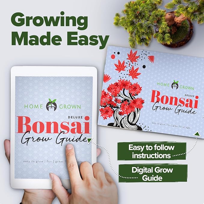HOME GROWN Bonsai Tree Kit – Premium Ceramic Starter Set with 4 Bonsai Varieties – Easy Indoor Gardening Gift for Men & Women – Unique Plant Kit for Beginners & Nature Lovers