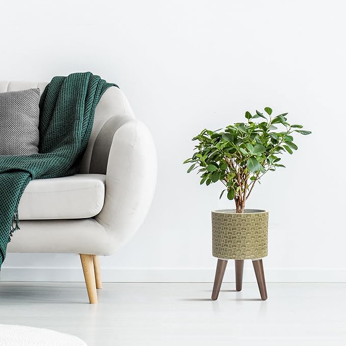 D'vine Dev 8 Inch Modern Geometric Tile Patterned Sleek Planter Pot with Stand, Indoor Outdoor Decorative Plant Holder, Distressed Olive, 88-Z-A-4