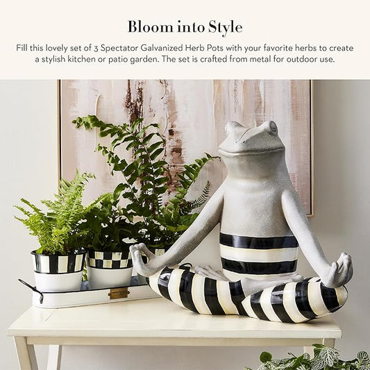 MACKENZIE-CHILDS Galvanized Herb Pots with Tray, Metal Herb Planters, Set of 3, Spectator