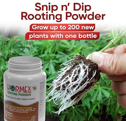 Hormex Rooting Hormone #16 - Highest-Potency Rooting Powder for Hard-to-Root Woody Plants & Tree Cuttings | Ensures Propagation Success for Difficult Plants (1.6% IBA)