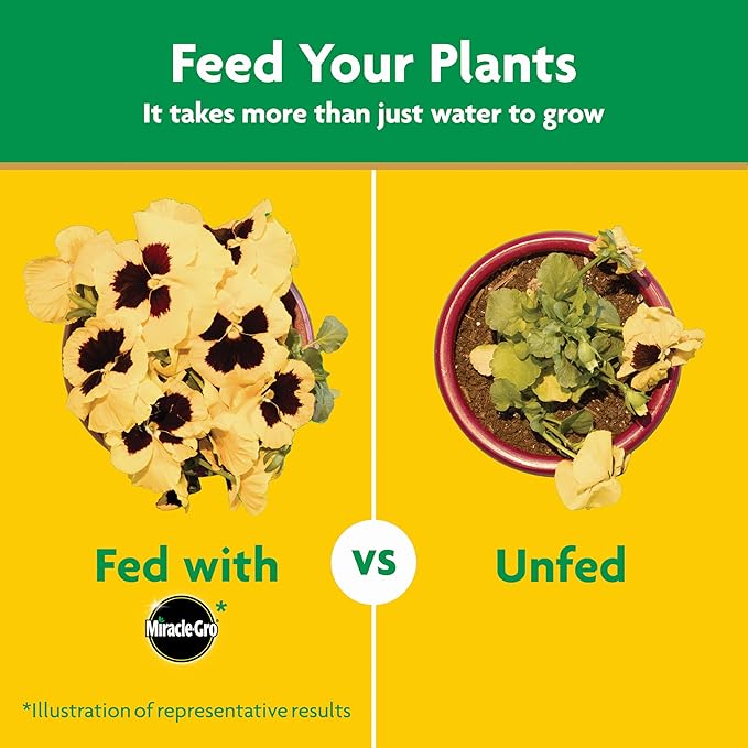 Miracle-Gro Water Soluble All Purpose Plant Food, For All Indoor or Outdoor Plants, Roses, Flowers, Vegetables, Houseplants, Trees, and Shrubs, 1.5 lbs