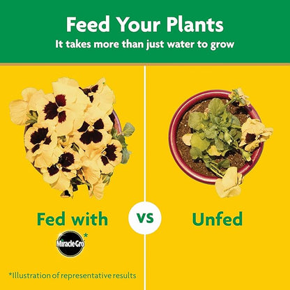 Miracle-Gro Water Soluble All Purpose Plant Food, For All Indoor or Outdoor Plants, Roses, Flowers, Vegetables, Houseplants, Trees, and Shrubs, 1.5 lbs