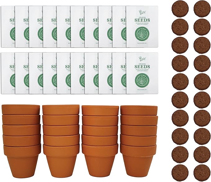 BUZZY Seeds Forget Me Not Flower Grow Kit Bulk 20pk Mini Terracotta Pots Gardening Starter Set for Kids and Adults, Wedding Favors, Baby Shower Prizes, Classroom Project Kits