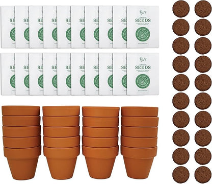 BUZZY Seeds Forget Me Not Flower Grow Kit Bulk 20pk Mini Terracotta Pots Gardening Starter Set for Kids and Adults, Wedding Favors, Baby Shower Prizes, Classroom Project Kits