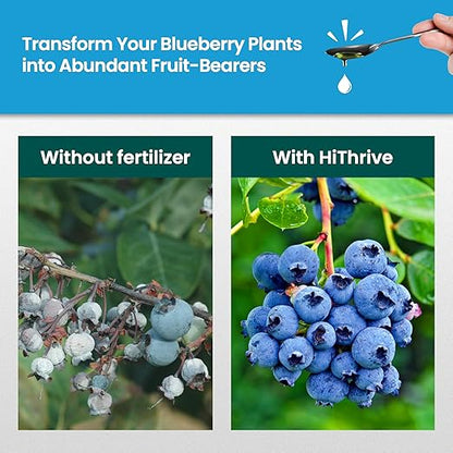 32oz Blueberry Fertilizer - Makes 32 Gallons of Fruit Tree Fertilizer for Blueberries, Liquid Plant Food for Sweet, Plump Blueberry Plants, Instant Plant Food That Promotes Growth & Abundant Harvests