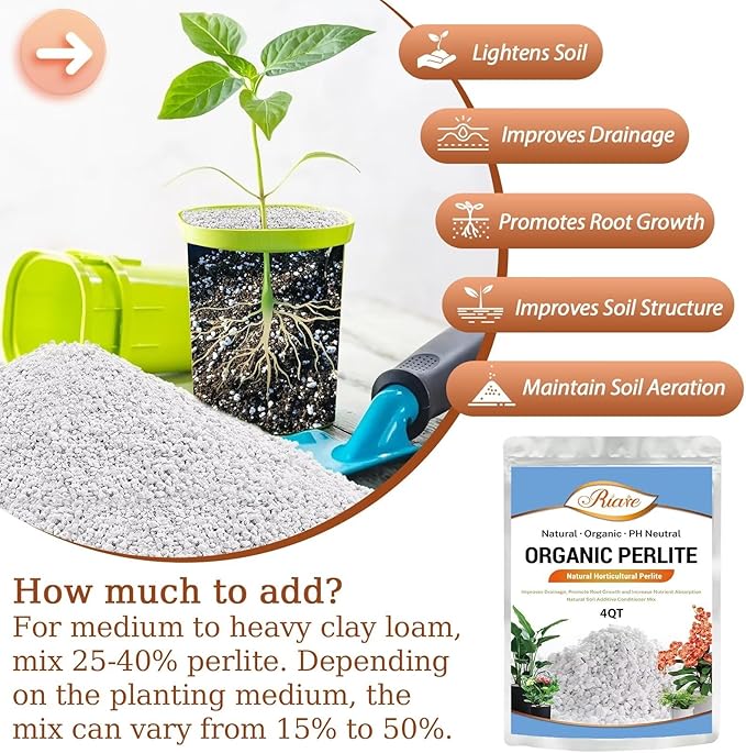 Riare 4 Quarts Organic Perlite for Plants - Horticultural Perlite Soil Amendment for Plants Potting Mix, Natural Chunky Perlite Soil Additive Conditioner Improve Root Growth, Drainage and Ventilation
