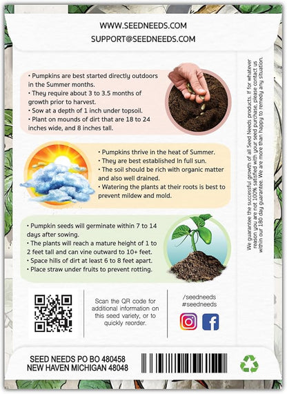 Seed Needs White Pumpkin Seeds for Planting Lumina Pumpkins - Non-GMO Heirloom & Untreated Vegetable Seeds to Plant an Outdoor Pumokin Patch - Perfect for Carving (5 Packs)