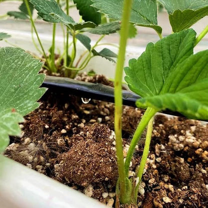 5/8" Drip Tape 1010FT, 4" Spacing Roll,16 Mil Garden Irrigation Tubing Hose, Adjustable Drip Tape Irrigation, Automatic Drip Irrigation System for Flowers, Plants, Fruits, 0.75 GPH/Hole