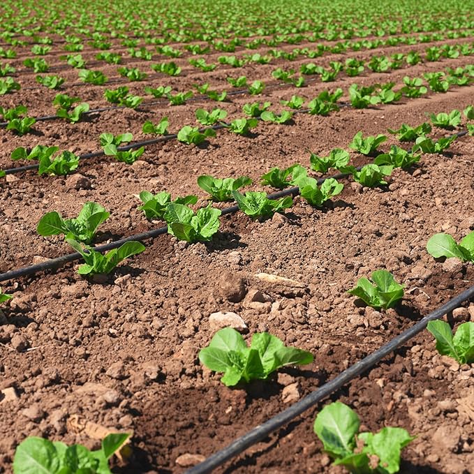 5/8" Drip Tape 1010FT, 8" Spacing Roll,16 Mil Garden Irrigation Tubing Hose, Adjustable Drip Tape Irrigation, Automatic Drip Irrigation System for Flowers, Plants, Fruits, 1 GPH / 2 Emitters