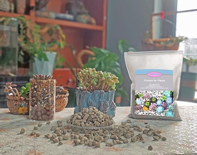 Horticultural Pumice for Plants 5QT, Natural Organic Pumice Stones for Succulent Cactus Bonsai Tree Orchid Potting Mixed, Improves Soil Aeration and Drainage, Promotes Root