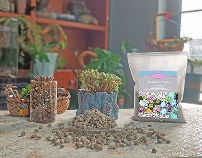 Horticultural Pumice for Plants 5QT, Natural Organic Pumice Stones for Succulent Cactus Bonsai Tree Orchid Potting Mixed, Improves Soil Aeration and Drainage, Promotes Root
