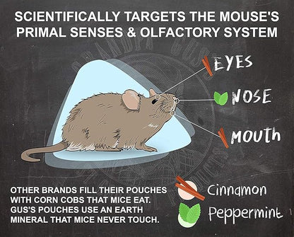 Grandpa Gus's Rodent Repellent Spray, Peppermint & Cinnamon Oil, Prevents Mouse/Rats from Nesting & Chewing on Wires, 16 fl oz (1 Bottle)
