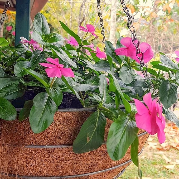 Halatool 6PCS 14 Inch Coco Fiber Liners - 100% Natural Coconut Fiber for Planters, Round Hanging Basket Liners for Flowers, Vegetables