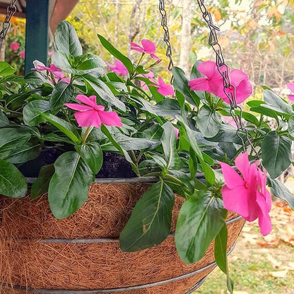 Halatool 6PCS 14 Inch Coco Fiber Liners - 100% Natural Coconut Fiber for Planters, Round Hanging Basket Liners for Flowers, Vegetables