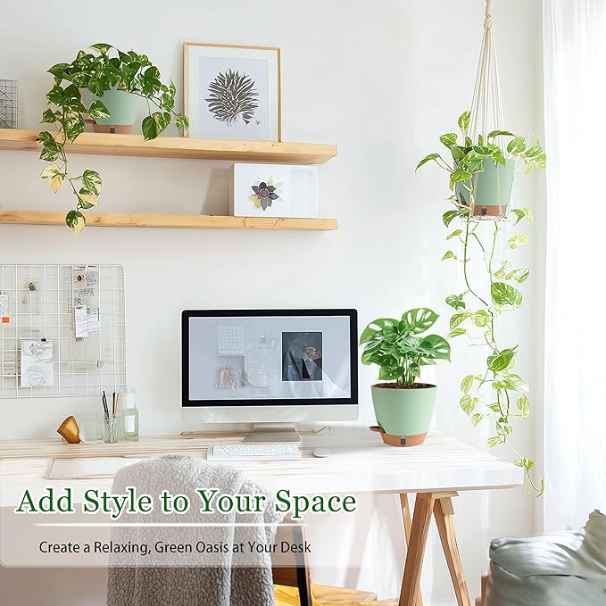 Self Watering Pots for Inoor Ourdoor Plants 8/7/6.5/6/5 Inch Plastic Planters with Drainage Holes & Water Level Indicator, Decorative House Flower Nursery Planting Pots with Saucers(Green)