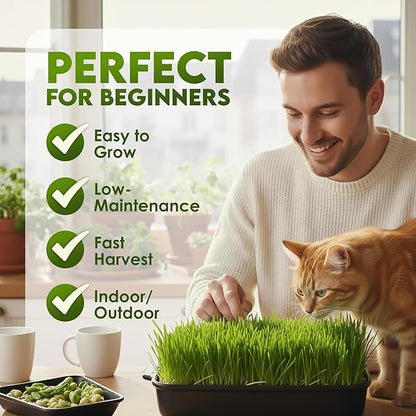 Nature Jims Sprouts Wheat Grass Seeds – Non-GMO Organic Seeds for Planting, Cat Grass Kit Planter & Sprouting –Resealable Bag for Fresh Wheatgrass Sprouts – Packed with Vitamins, Fiber & Minerals–16oz