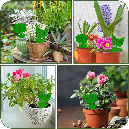 Fruit Fly Traps, 60 Pack Green Stick Traps, Fungus Gnat Traps, Plant Fly Stickers for Indoor and Outdoor Use Protect The Plant