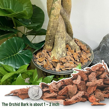 3 Quart Organic Orchid Bark for Potting-Natural Orchid Mulch for Potted Plants, Root Development of Orchid Plants and Garden Soil Amendment Mix