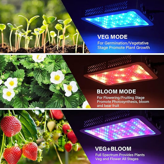Beelux 1000w LED Grow Light for Indoor Plants Full Spectrum, Upgrade Dual Chips and Dual Switch Plant Grow Lights for Seed Starting Veg and Flower Greenhouse (Actual Power 100W=1000W HPS)