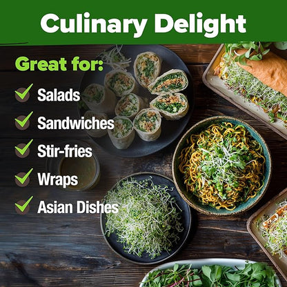 HOME GROWN Non GMO Alfalfa Sprout Seeds 16oz Bulk Pack with Thousands of Seeds Alfalfa for Sprouting & Microgreens Indoor Outdoor Growing Resealable Bag High Germination