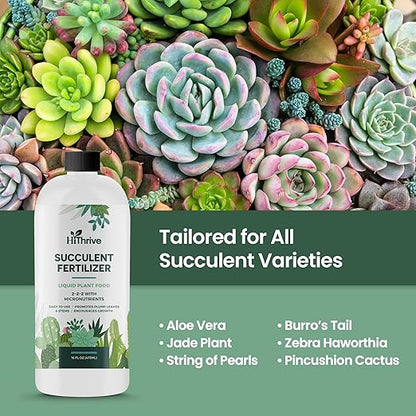 16oz Succulent Fertilizer - Makes 32 Gallons of Succulent Plant Food for Succulents Plants Live, Liquid Fertilizer for Succulents - Promotes Vibrant Leaves, Resilient Roots, and Plump Growth