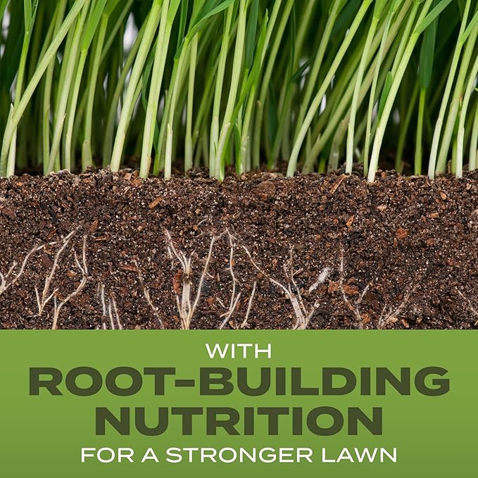 Scotts Turf Builder Grass Seed Tall Fescue Mix with Fertilizer and Soil Improver, Resists Harsh Conditions, 5.6 lbs.