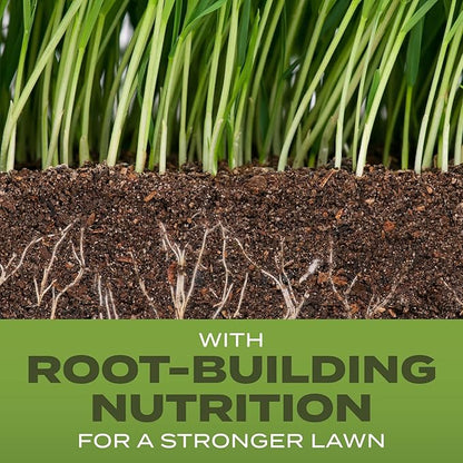 Scotts Turf Builder Grass Seed Tall Fescue Mix with Fertilizer and Soil Improver, Resists Harsh Conditions, 5.6 lbs.