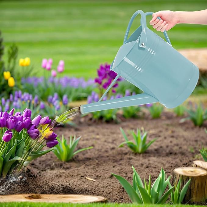 2 Gallon Metal Watering Can for Outdoor Indoor Garden Plants, Galvanized Watering Can with Removable Spout, Garden Watering Pot for Flowers, Plants & Lawns (Light Blue)