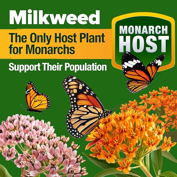 HOME GROWN Cosmos Flower Seeds 8,000 & Premium Monarch Butterfly Wildflower Seeds Mix 20000