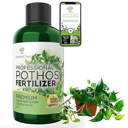 Professional Liquid Pothos Plant Fertilizer | 3-1-2 Concentrate for Epipremnums and Houseplants | Multi-Purpose Blend & Gardening Supplies | 8 oz Bottle