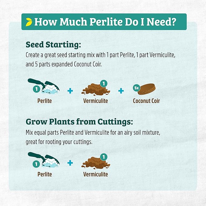 Back to The Roots 100% Organic Perlite | Made in The USA | Premium Nutrition for Indoor and Outdoor Plants