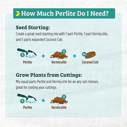 Back to The Roots 100% Organic Perlite | Made in The USA | Premium Nutrition for Indoor and Outdoor Plants