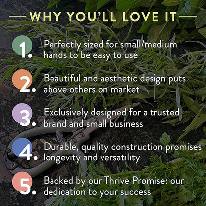 Modern Sprout Hand Pruners & Shears Set - Lightweight Gardening Tools W/Easy Lock - Sharp Carbon Steel Blades -Rust Resistant Scissors for Herbs, Flowers - Reusable Holster - Sage