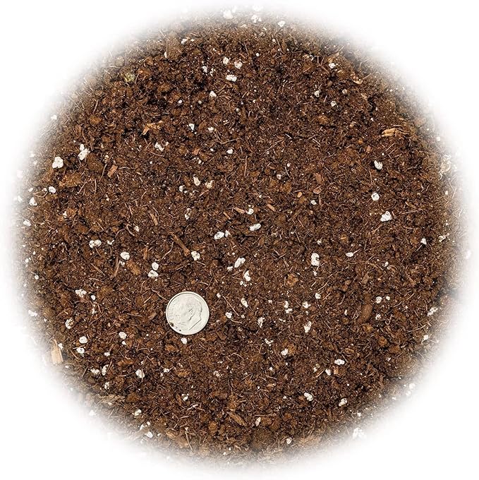 GARDENERA Citrus Tree Potting Soil Mix, Special Blend for Indoor Oranges, Lemons, Limes and More - (2 Quart Bag)