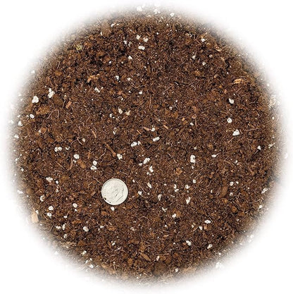 GARDENERA Citrus Tree Potting Soil Mix, Special Blend for Indoor Oranges, Lemons, Limes and More - (2 Quart Bag)