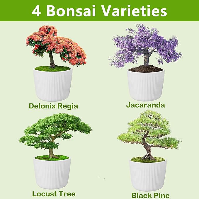 Bonsai Tree Kit, Bonsai Starter Kit with Seeds & Tools, Tree Live Plants Indoor, Gardening Gifts for Women Men Mom Father Plant Lover, Birthday Thanksgiving