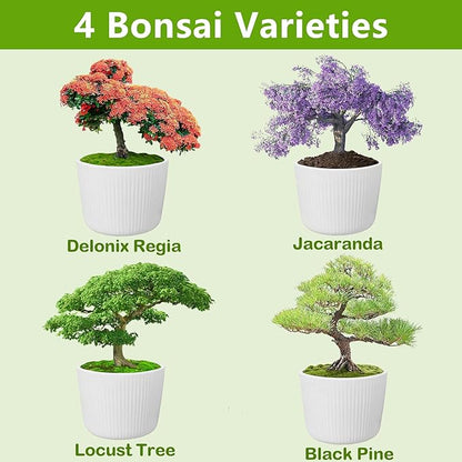 Bonsai Tree Kit, Bonsai Starter Kit with Seeds & Tools, Tree Live Plants Indoor, Gardening Gifts for Women Men Mom Father Plant Lover, Birthday Thanksgiving