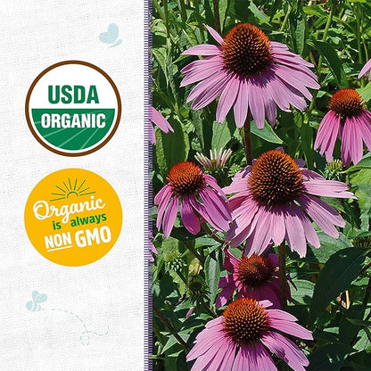 Back to The Roots 100% Organic Seed Packet - Echinacea 'Purple Coneflower' 210mg