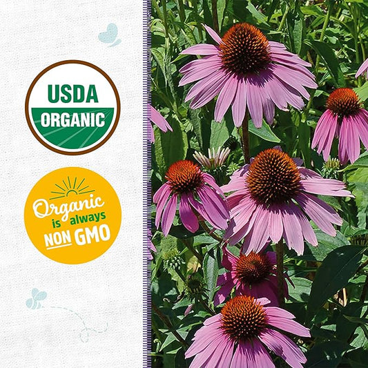 Back to The Roots 100% Organic Seed Packet - Echinacea 'Purple Coneflower' 210mg
