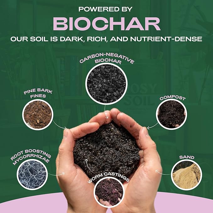 Seedling Seed Starter Soil Mix - Peat-Free Organic Potting Mix for Seeds, Cuttings, Microgreens- Enriched w/Worm Castings, Root-Boosting Biochar, Less Prone to Gnats for Germination & Propagation- 4qt