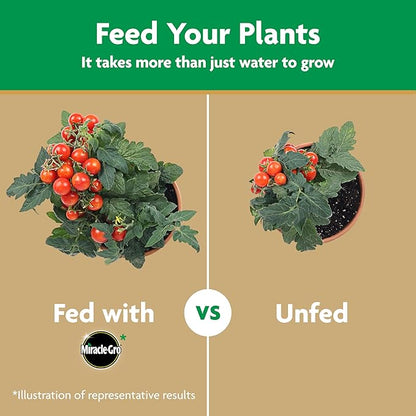 Miracle-Gro Water Soluble Tomato Plant Food