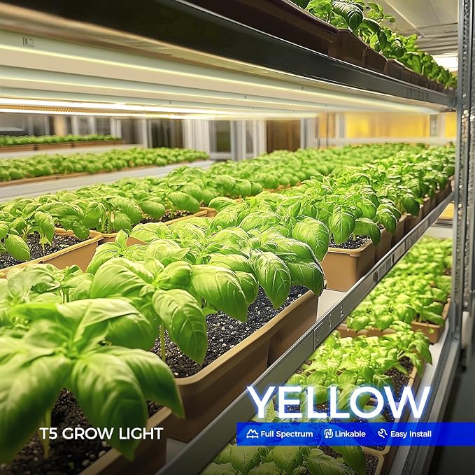 Barrina T5 Grow Lights, Full Spectrum Grow Light, 3ft 128W (8 x 16W, 800W Equivalent), LED Grow Lights for Indoor Plants, Ideal for Indoor Plants, Plant Grow Shelf, Plug and Play, Yellow, 8-Pack