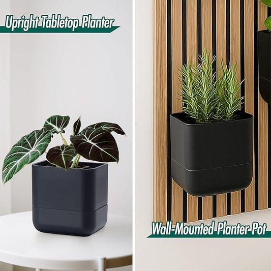 Phoenix Vine 6.5-Inch Wall Mounted Self-Watering Planter Pot for Indoor Houseplants and Herbs | Modern Hanging Planter for Window Sills, Bathroom Walls, Home & Office Décor, Black, Set of 1, 01-WP-B-1