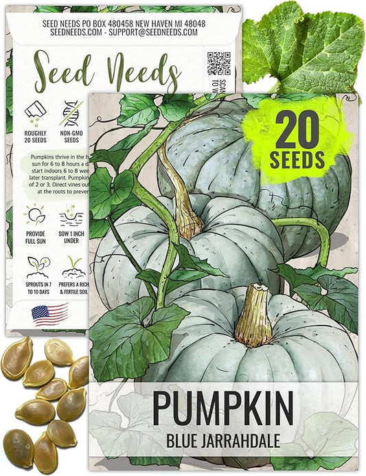 Seed Needs Pumpkin Seeds for Planting Blue Jarrahdale Pumpkins - Non-GMO Heirloom & Untreated Cucurbita Maxima Seed to Plant an Outdoor Home Grown Vegetable Garden (1 Pack)