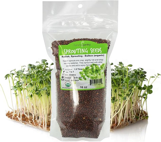 Radish Sprouting Seeds 1 lb – Non-GMO Daikon Microgreen Seeds for Indoor Growing