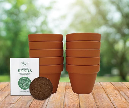 BUZZY Sunflower Seeds & Genuine Terracotta 7cm Pot Bulk Pack (10 Count), Includes 10 Each pots, Soil pellets, Seed Packs - Great for Favors, Crafts, School Projects, Starter Kits - Guaranteed to Grow