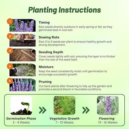 Outsidepride Delphinium Lilac Larkspur Seeds for Planting Outdoors - 2000 Pcs Annual, Self-Seeding, Heat & Drought Tolerant Wildflower Seed, Colorful Blooms for Flower Arrangement & Pollinator Garden